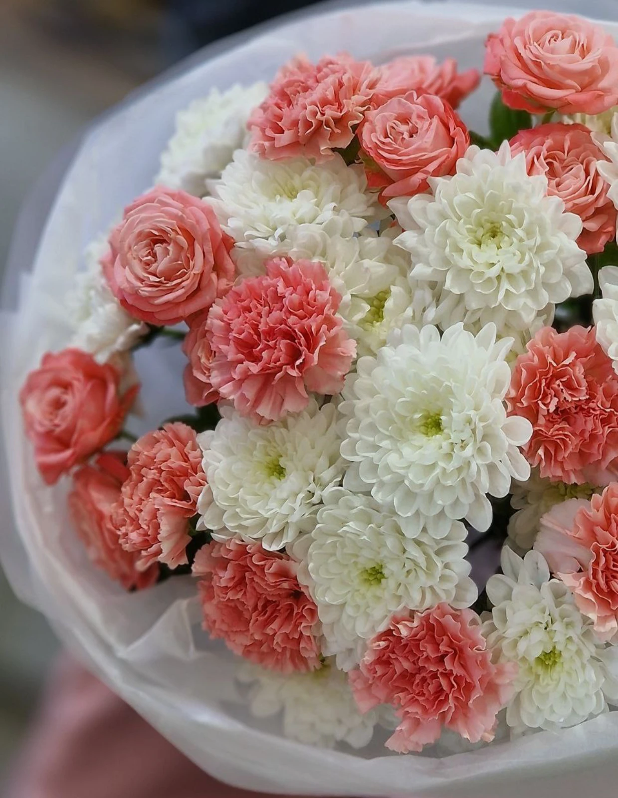 emae23_menu_001_02.webp