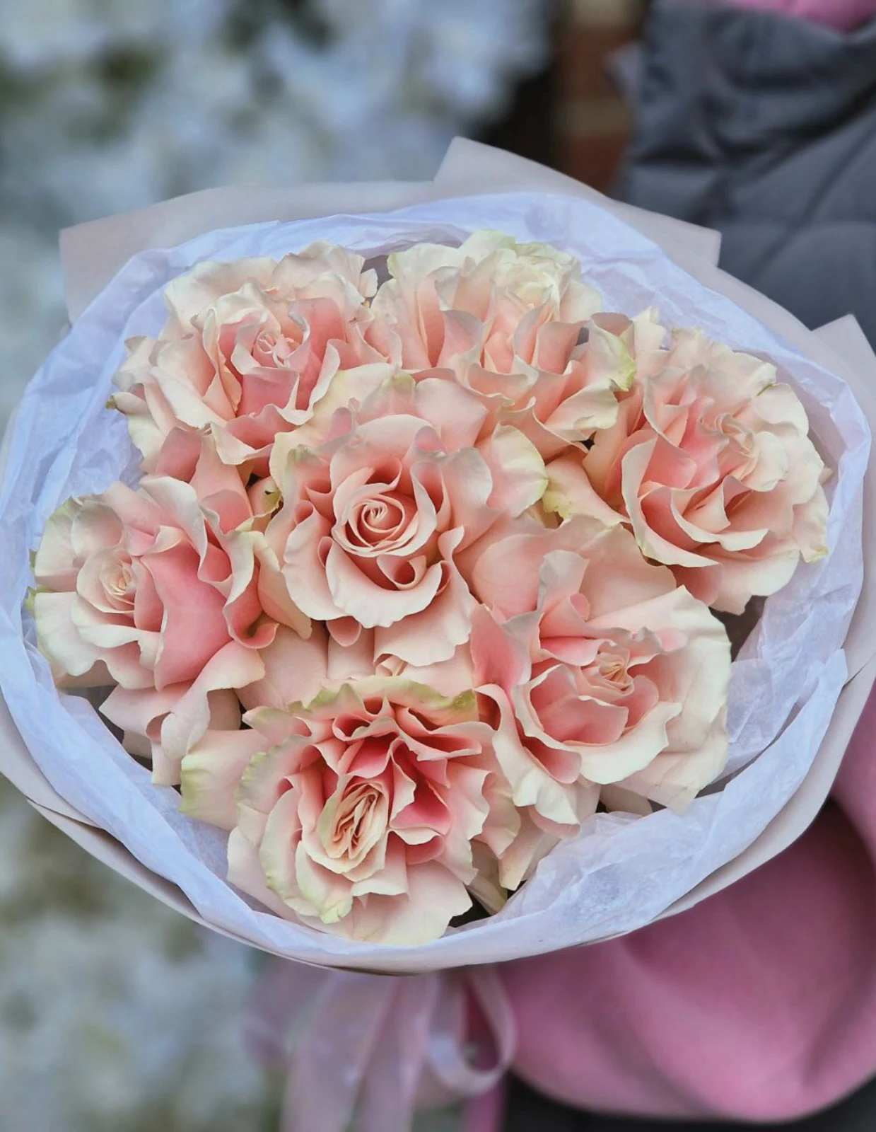 emae23_menu_004_02.webp