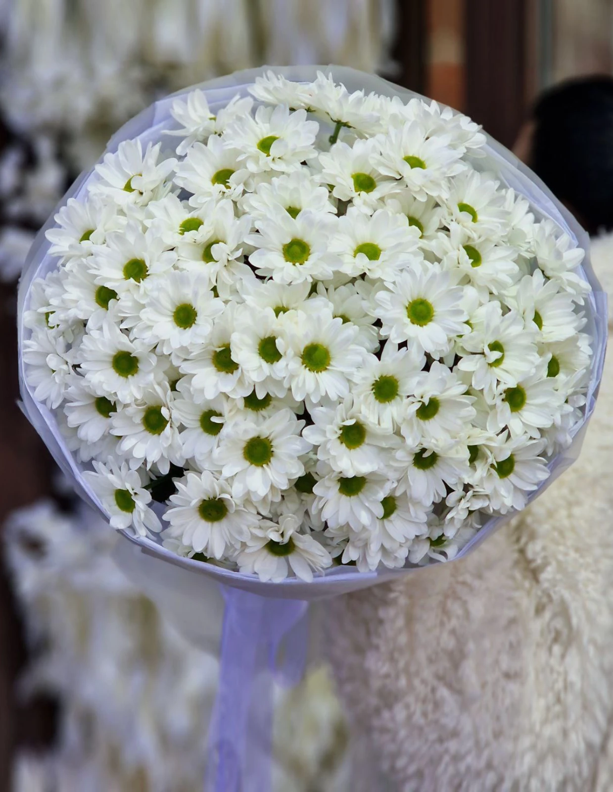 emae23_menu_007_02.webp