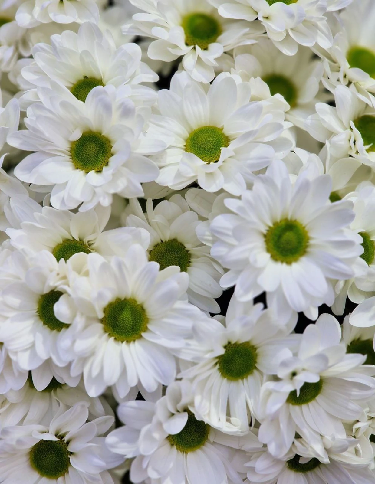 emae23_menu_007_03.webp
