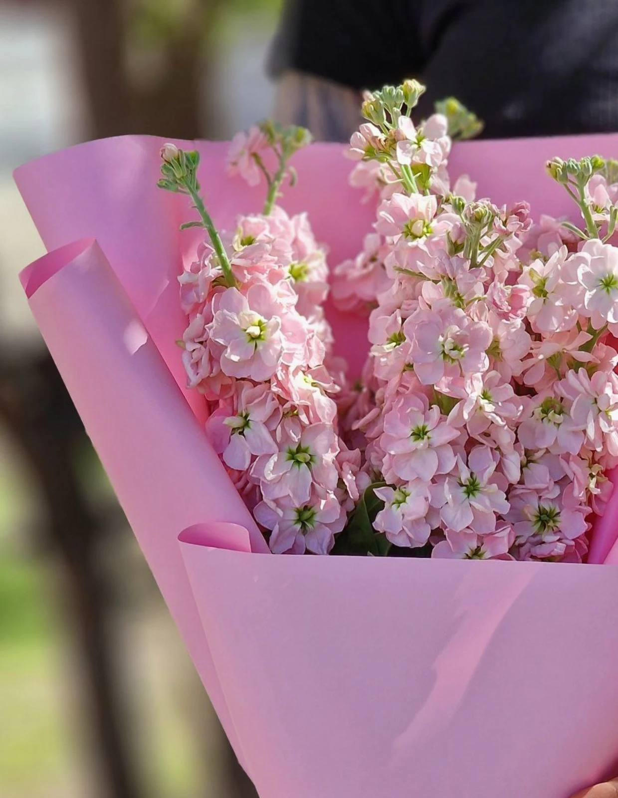 emae23_menu_050_03.webp