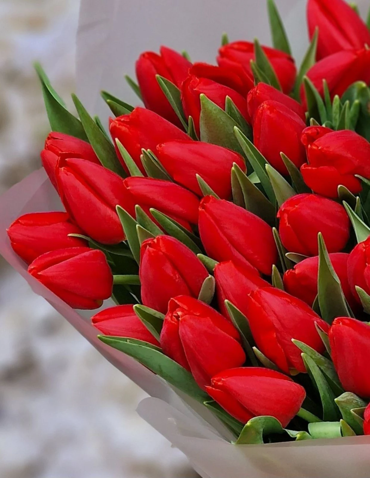 emae23_menu_051_03.webp