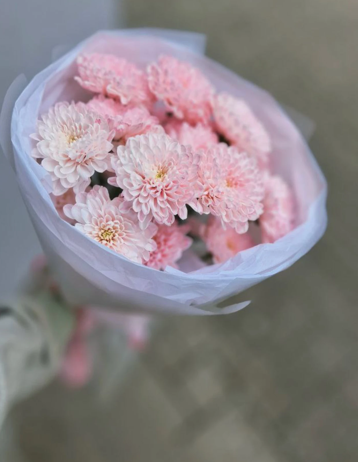 emae23_menu_058_01.webp
