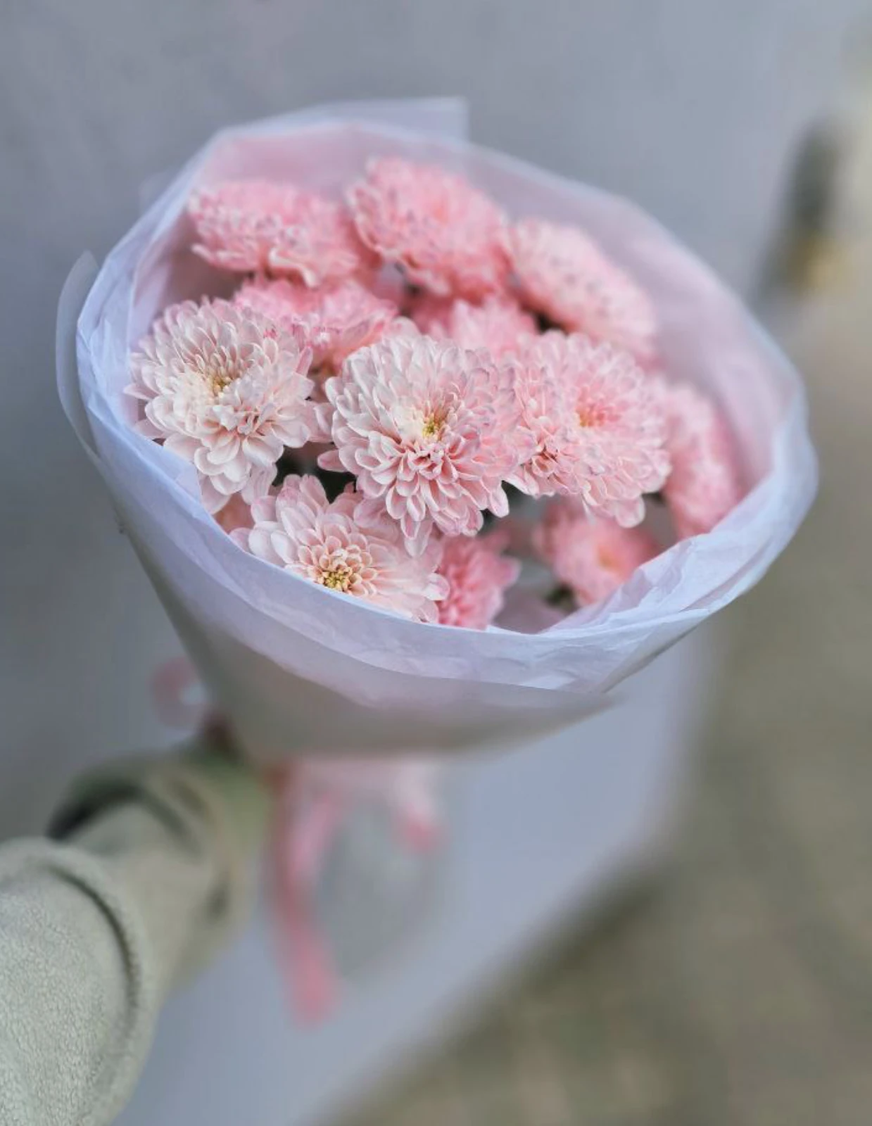 emae23_menu_058_02.webp