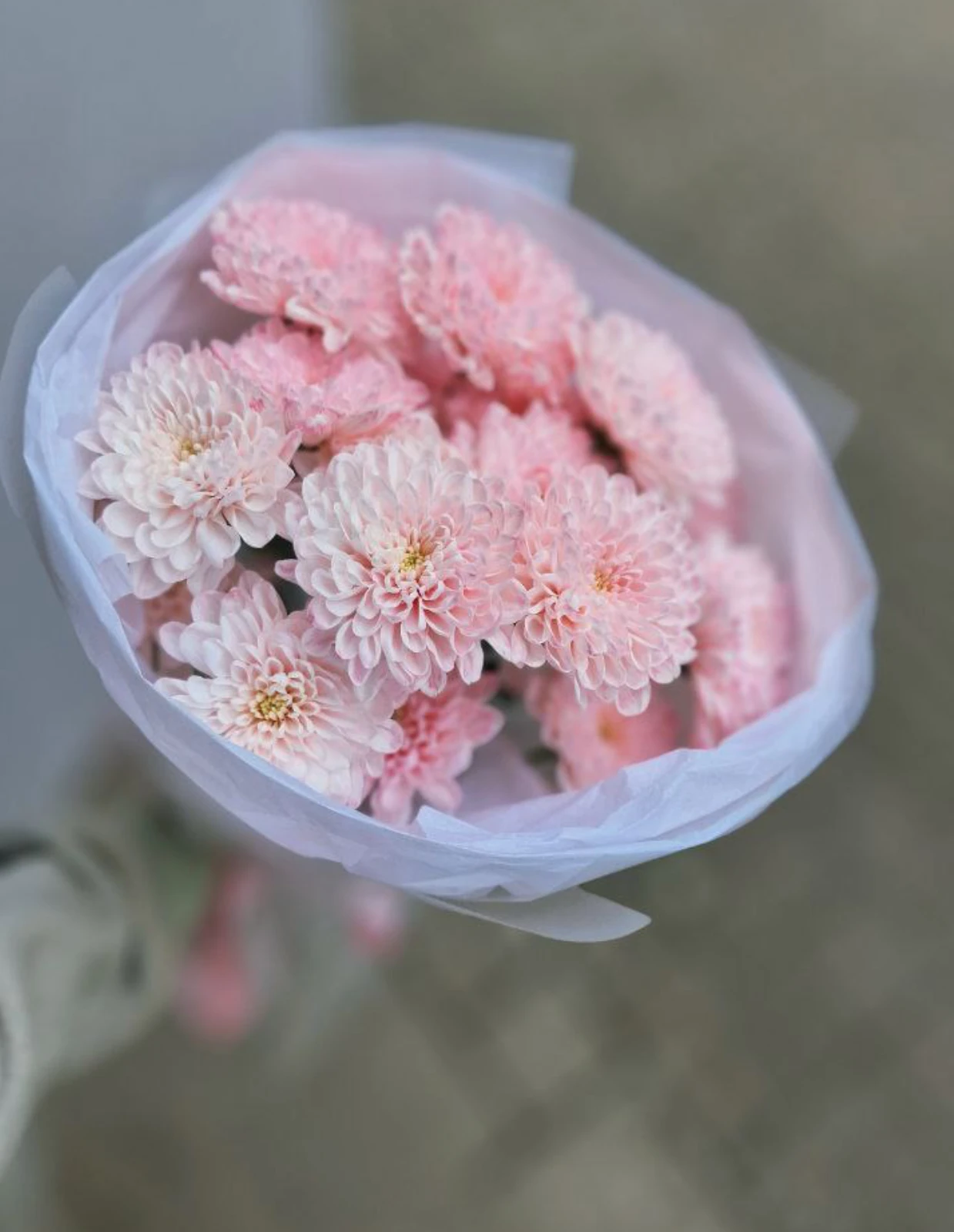 emae23_menu_058_03.webp